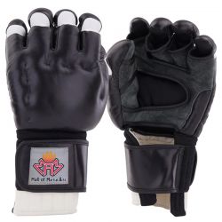 Kungfu Gloves